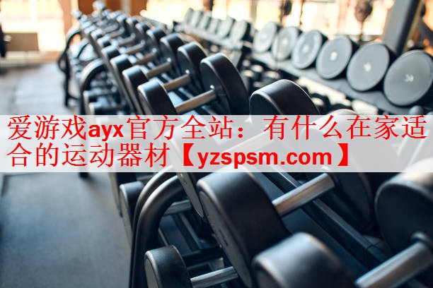 有什么在家适合的运动器材