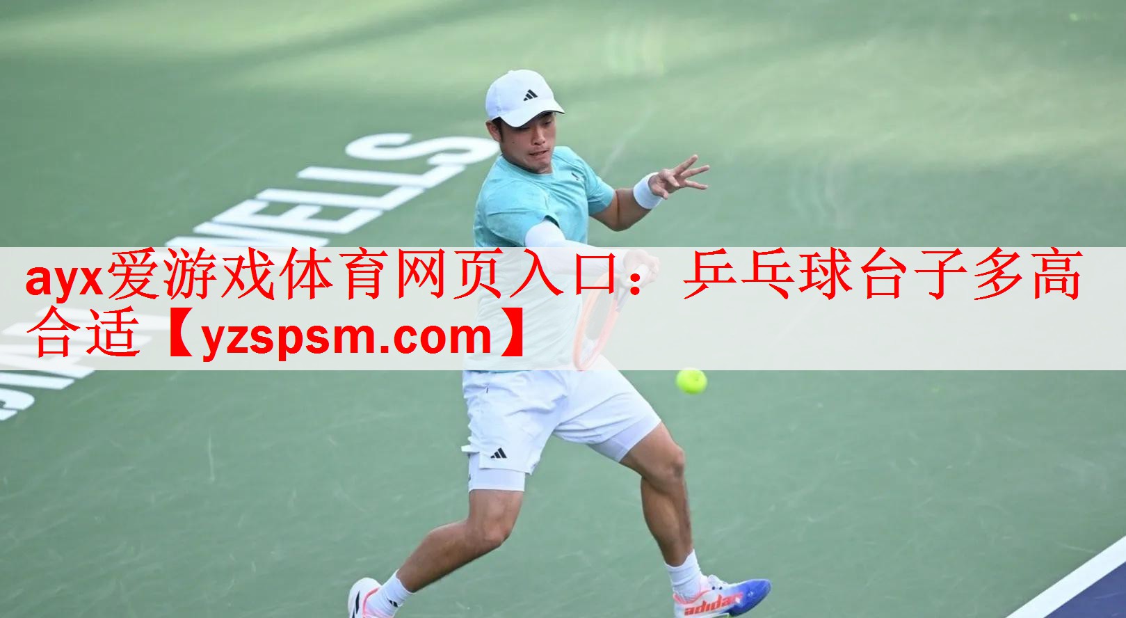 乒乓球台子多高合适