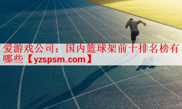 国内篮球架前十排名榜有哪些