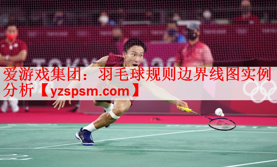 羽毛球规则边界线图实例分析