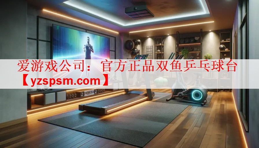 官方正品双鱼乒乓球台