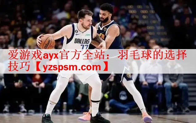 羽毛球的选择技巧
