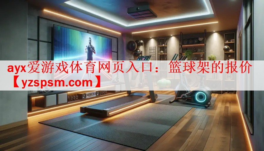 篮球架的报价