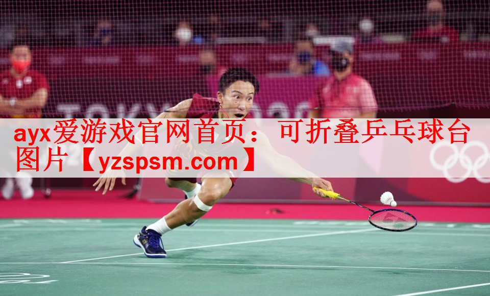 可折叠乒乓球台图片