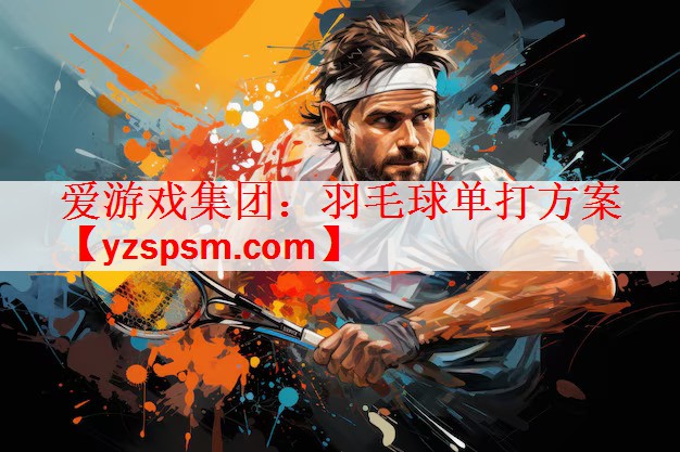 羽毛球单打方案