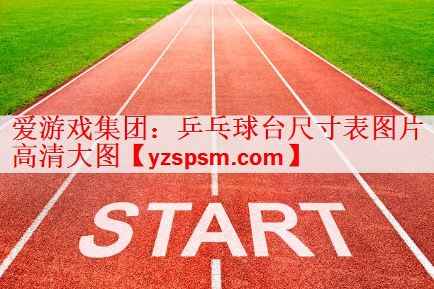 乒乓球台尺寸表图片高清大图