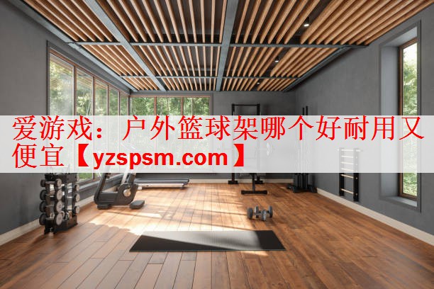 户外篮球架哪个好耐用又便宜