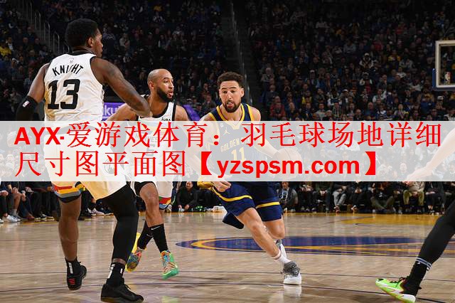 羽毛球场地详细尺寸图平面图