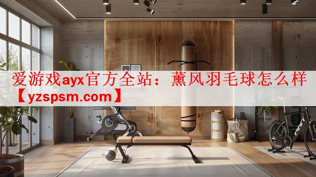 薰风羽毛球怎么样