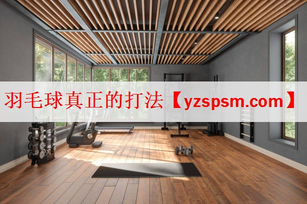 羽毛球真正的打法