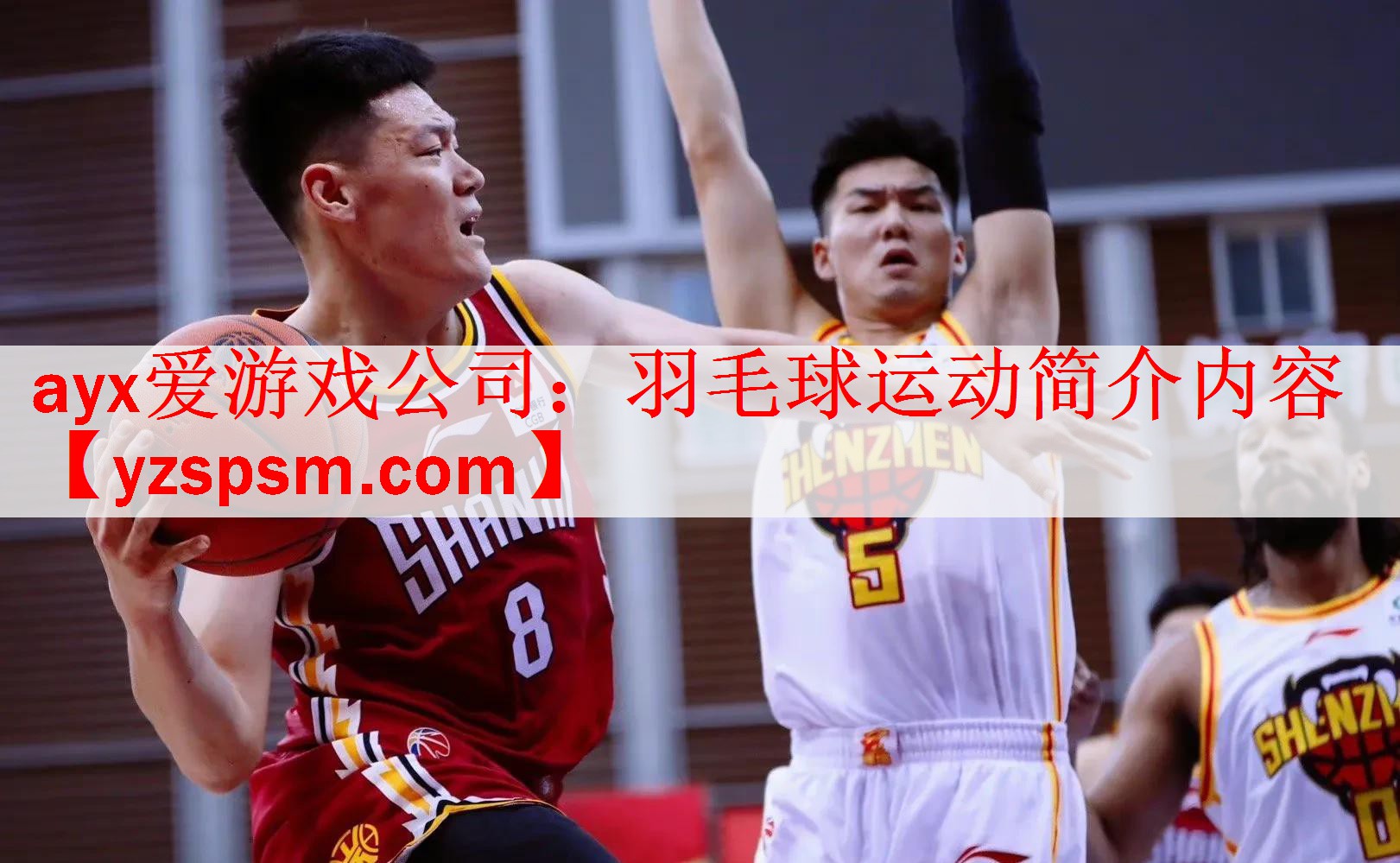 羽毛球运动简介内容