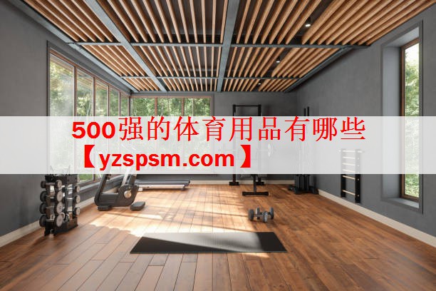 500强的体育用品有哪些
