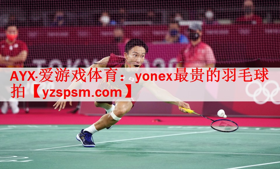 yonex最贵的羽毛球拍