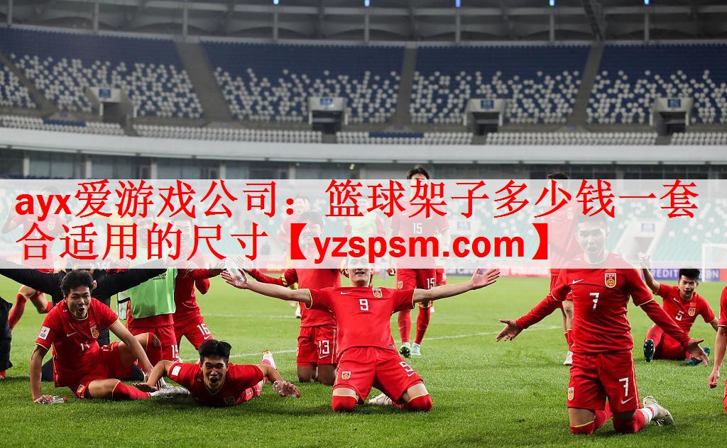 篮球架子多少钱一套合适用的尺寸