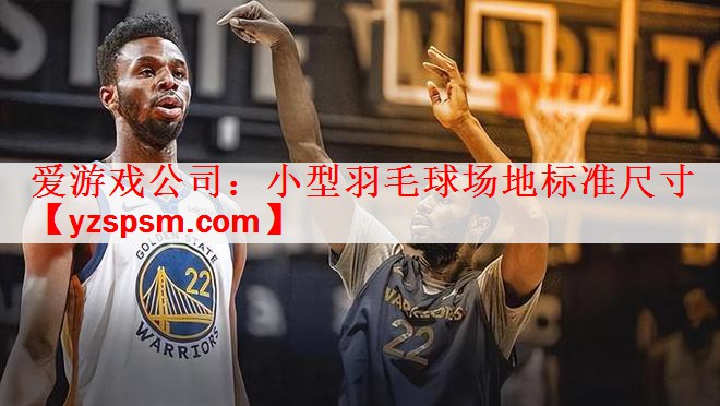 小型羽毛球场地标准尺寸