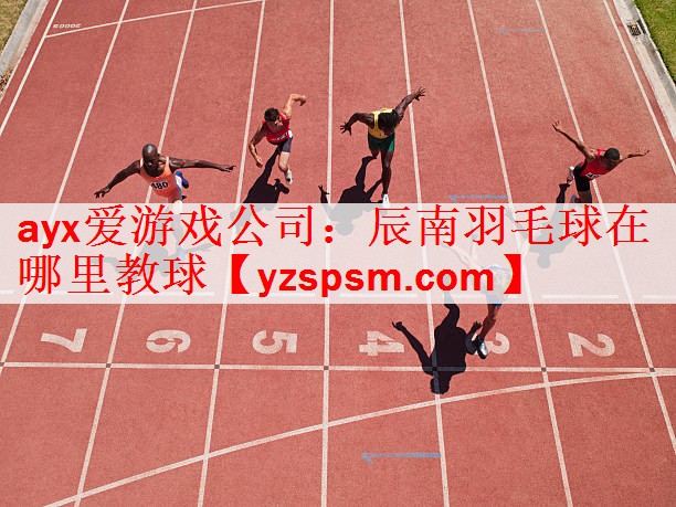 辰南羽毛球在哪里教球