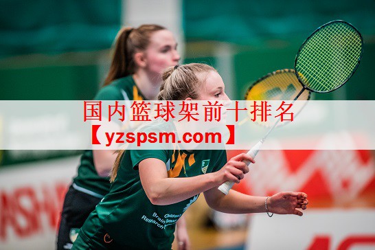 国内篮球架前十排名