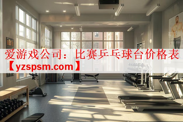 比赛乒乓球台价格表