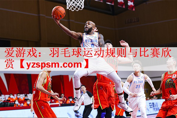 羽毛球运动规则与比赛欣赏
