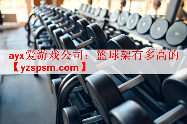 篮球架有多高的