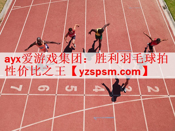 胜利羽毛球拍性价比之王