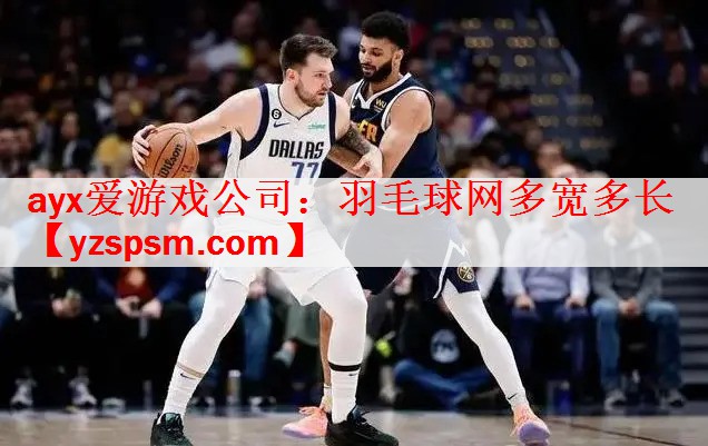 羽毛球网多宽多长
