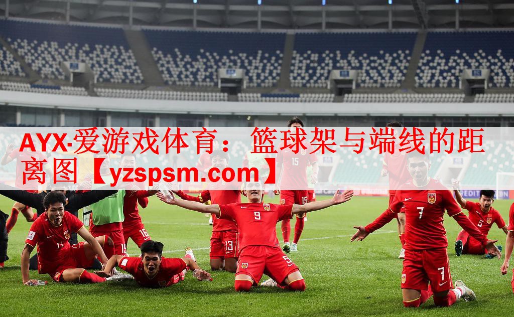 篮球架与端线的距离图